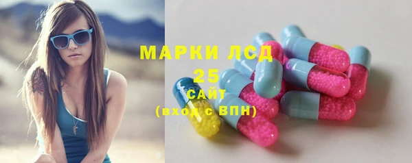 дмт Богородск