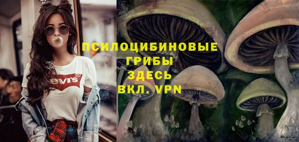 прущая мука Богородицк