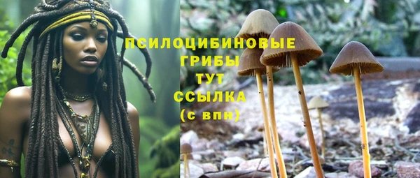дмт Богородск