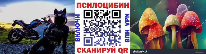 Псилоцибиновые грибы ЛСД  закладка  Киржач 